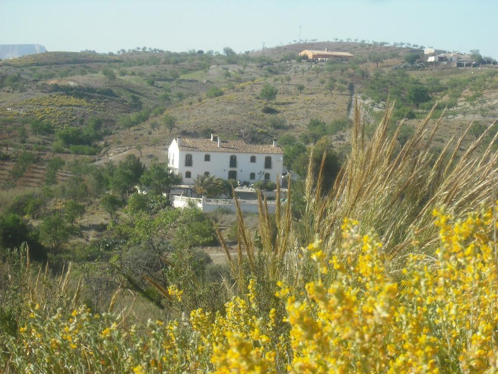 Hotel Los Sibileys Henares ภายนอก รูปภาพ