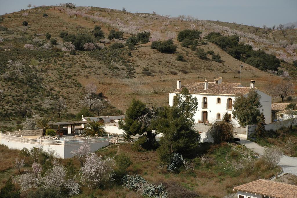 Hotel Los Sibileys Henares ภายนอก รูปภาพ