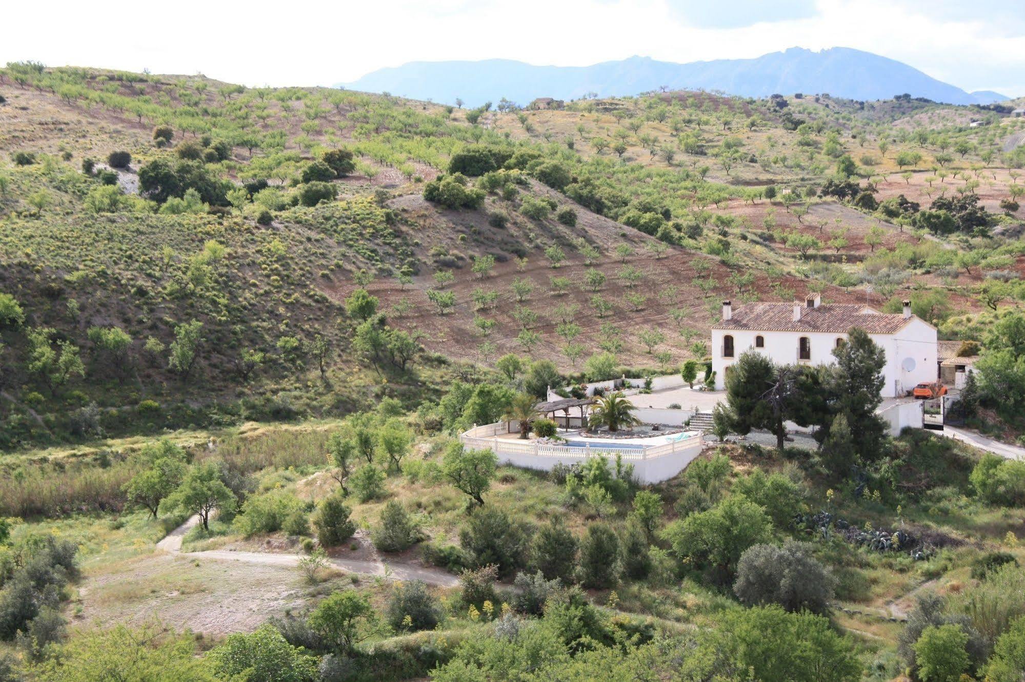 Hotel Los Sibileys Henares ภายนอก รูปภาพ